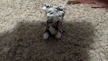 Rare collectible beanie baby