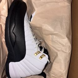 Jordan 12 Taxis