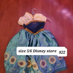 Disney Store Princess Dresses