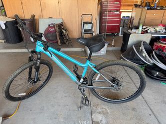 Schwinn bicycle