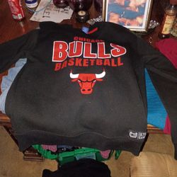 Officially bulls basketball sweatshirt
