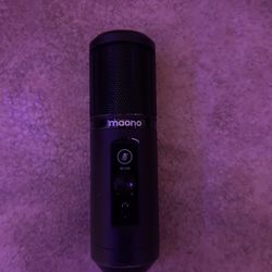 Mic 
