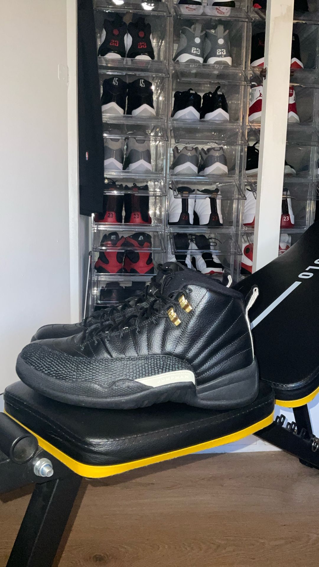 Jordan 12s The Master Size 10