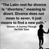 Happily Divorced