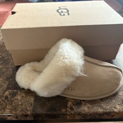 Ugg Scuffette II