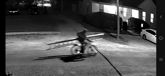 Thieves From The House On 2nd And Pine