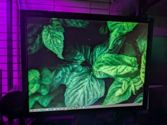 Samsung 204b Syncmaster lcd