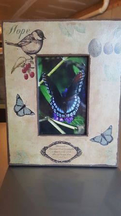 New digital photograph in frame Butterfly