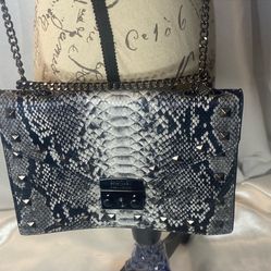 Badgley  Mischka Bag 