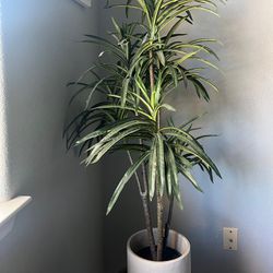 fake plant with pot 