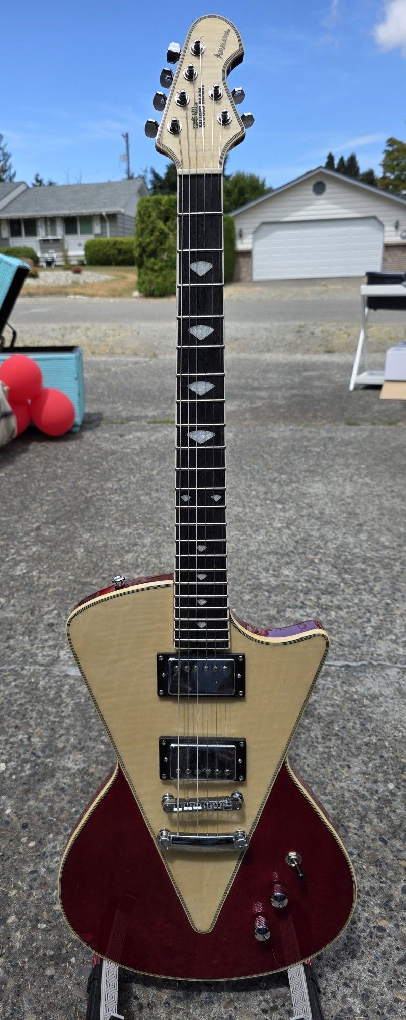 Electric Guitar