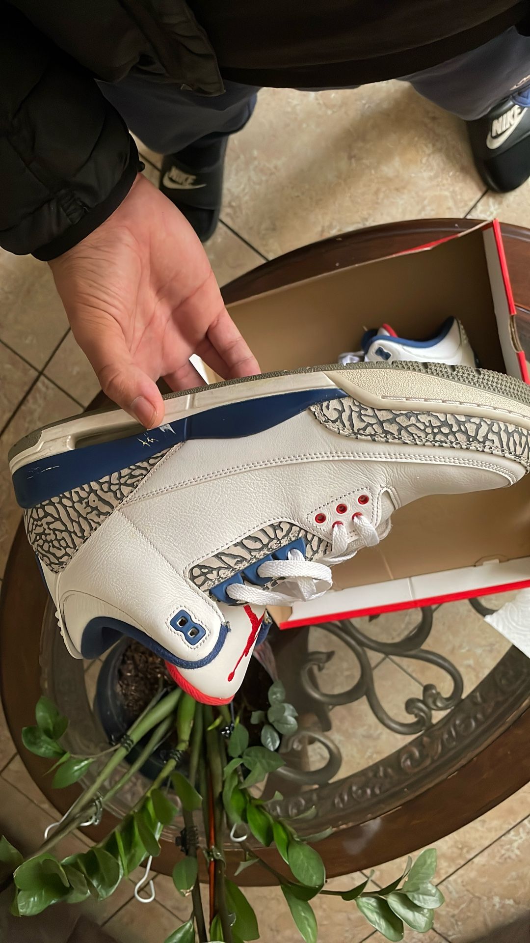 jordan 3s
