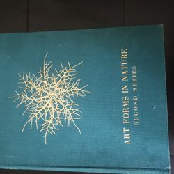Rare 1932 Art & Photography Book - Art Forms In Nature, Second Series
