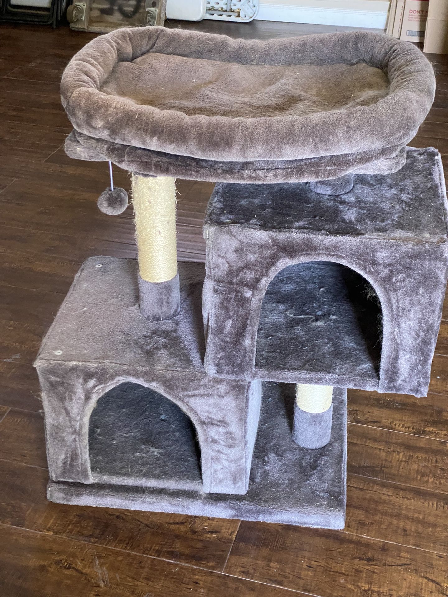 Cat Condo