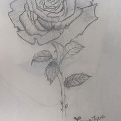 Rose /Artwork