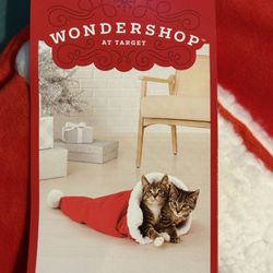 CHRISTMAS CRINKLE CAT HAT TOY ASKING $5 