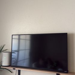 tv (check out other adds i’m moving) 