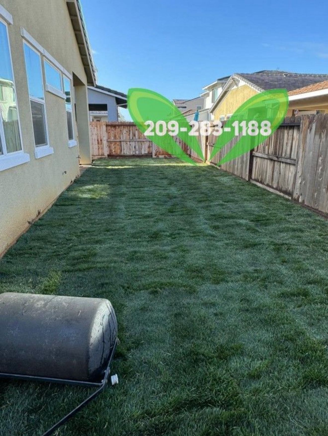 Best Quality Sod