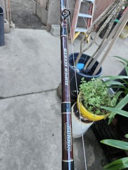 Super Seeker Rod