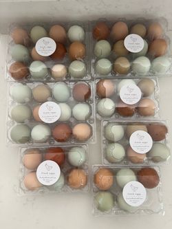 Eggs