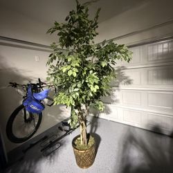 Artificial Plants For Decoration 