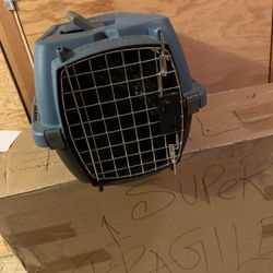 Pet travel carrier