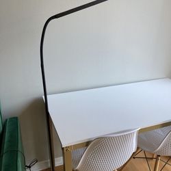 LED Desk & Floor Lamp