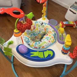 Baby Bouncy Activity Seat