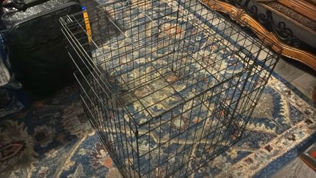 Dog or cat case