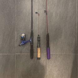Fishing Combo (Will Throw In Tackle)