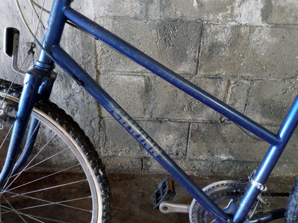 Shwin bike
