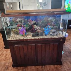 Fish Tank 55 Gl