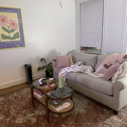 sleeper sofa 
