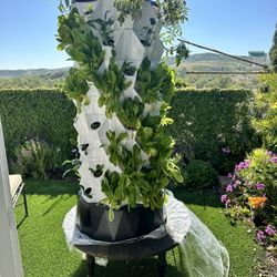 Hydroponic Tower Garden 