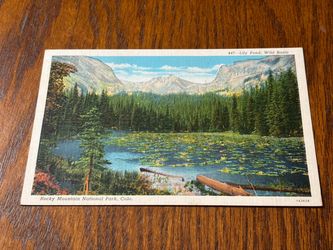 Vintage Postcard - Rocky Mountain National Park, CO
