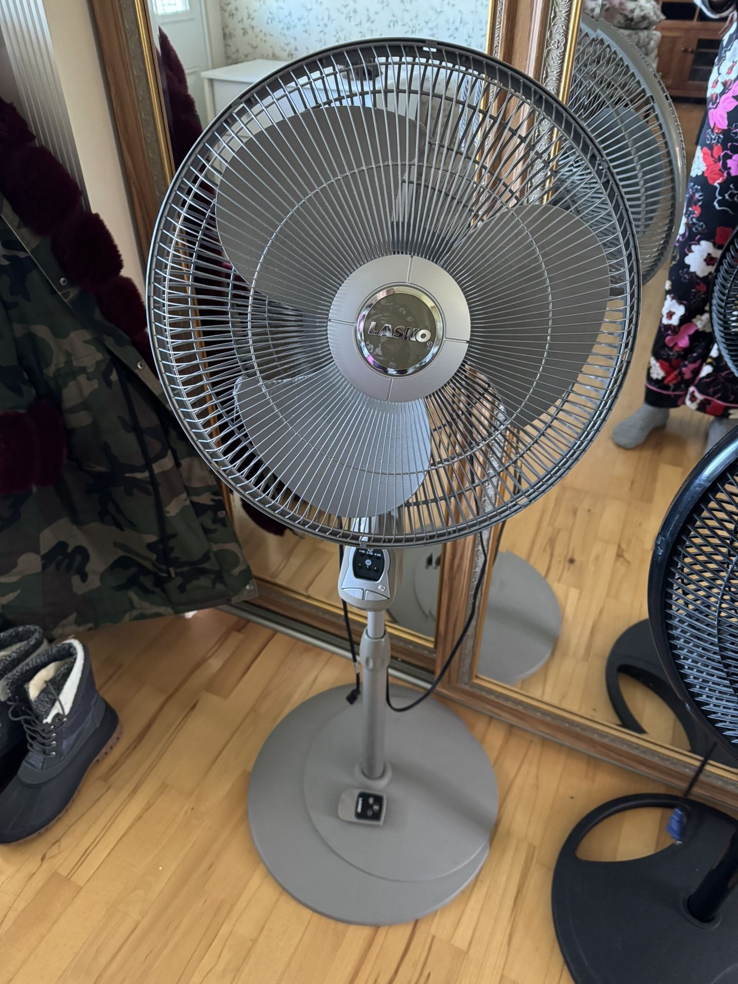 Fan