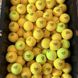 Cricket Lovers Hub Tennis Balls
