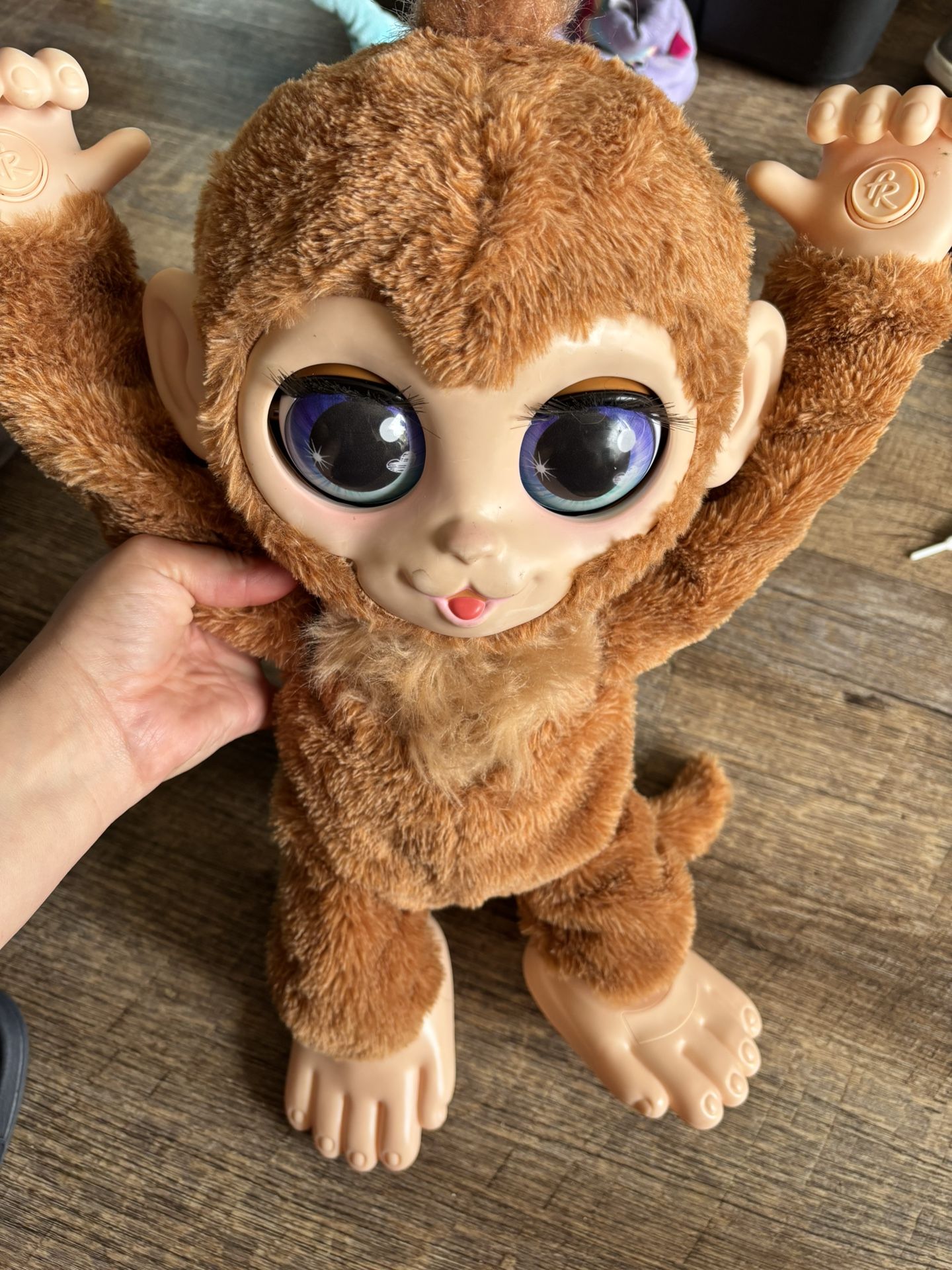 Monkey Toy