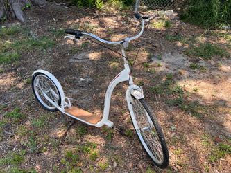 Schwinn adult kick scooter