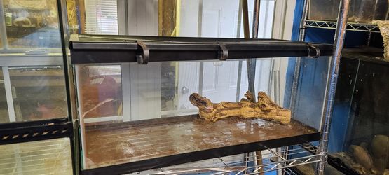 20 g long