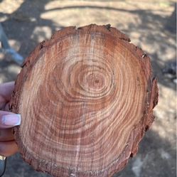 Tree trunk centerpiece 