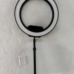 Elgato Ring Light desk mount