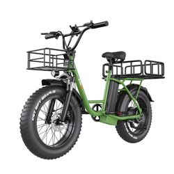 FB-20X Cargo Electric Bike 1400w Pure Power