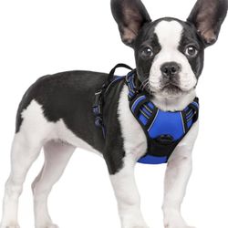 rabbitgoo Dog Harness No Pull with 2 Leash Clips, Adjustable Soft Padded, Reflective Oxford No Choke Pet Vest with Easy Control Handle for Large Dogs,