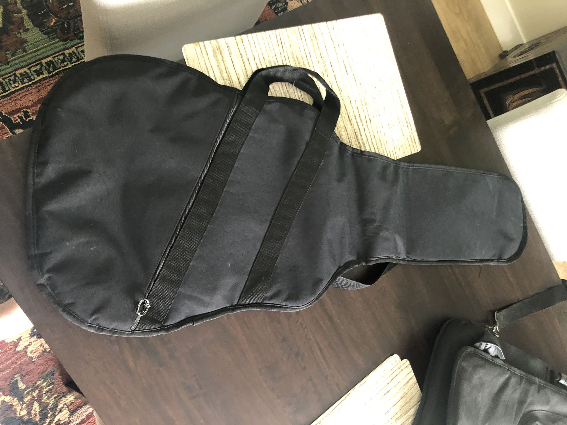 Electric guitar bag/case