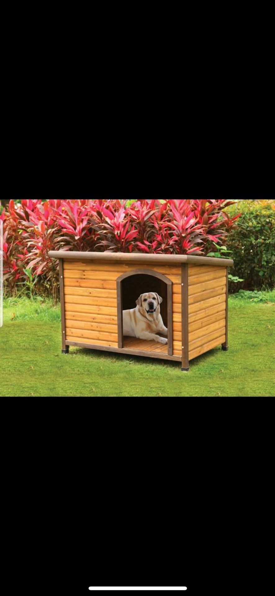 Brand new wooden doghouse! Nueva casita de madera para mascota!!