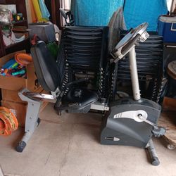 Schwinn 213 Exercise Bike