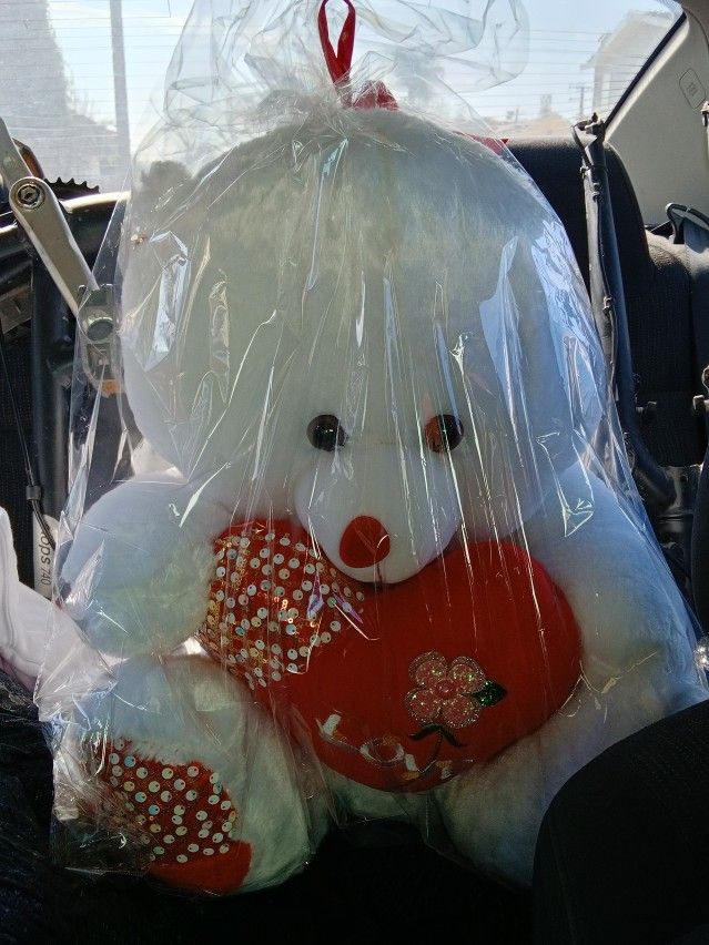 Big Teddy Bear