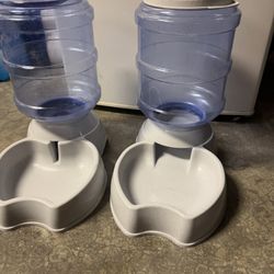 Dog Food/water bowls