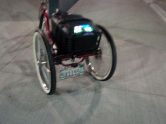 26 in  beach cruiser